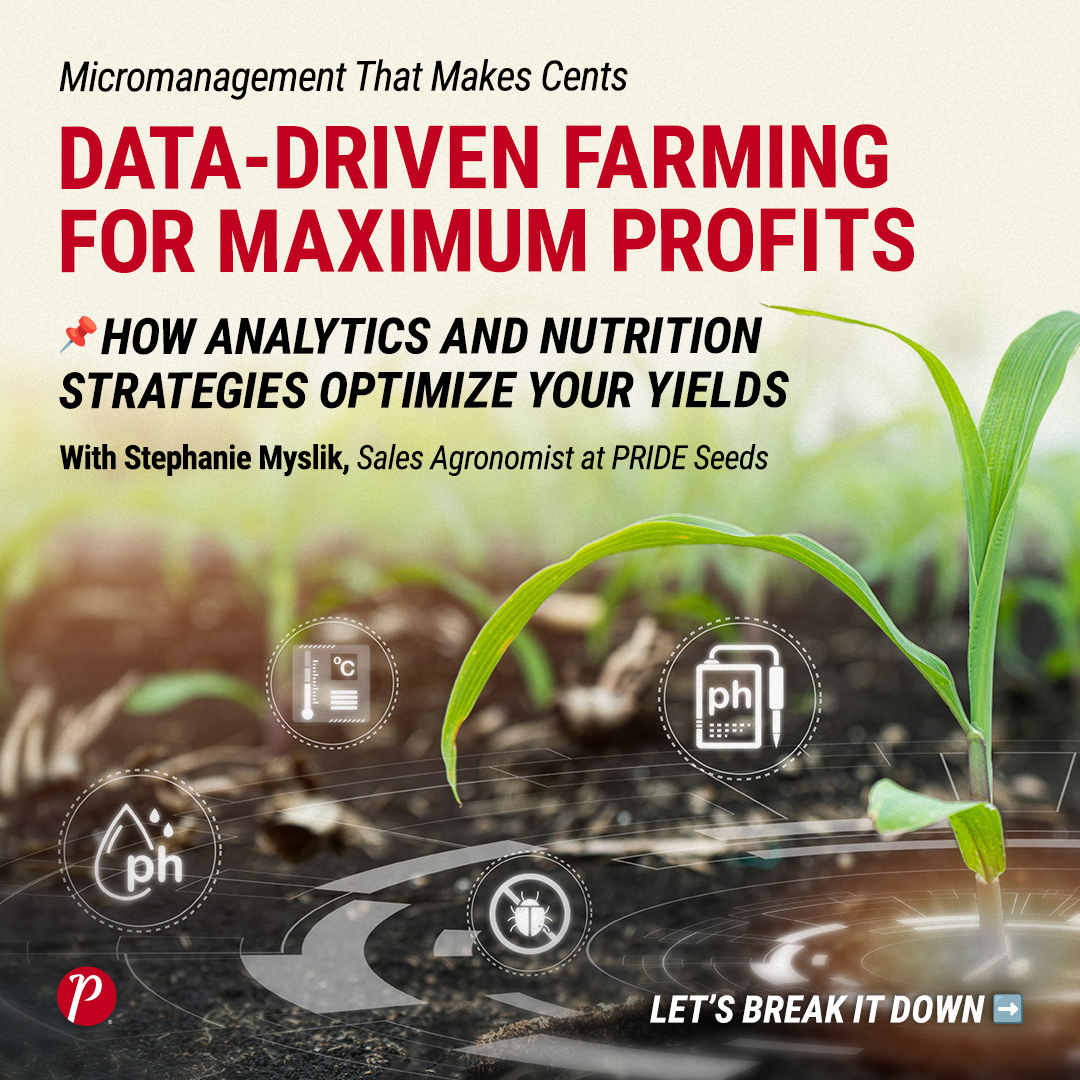 Steph Article_Social Graphic1