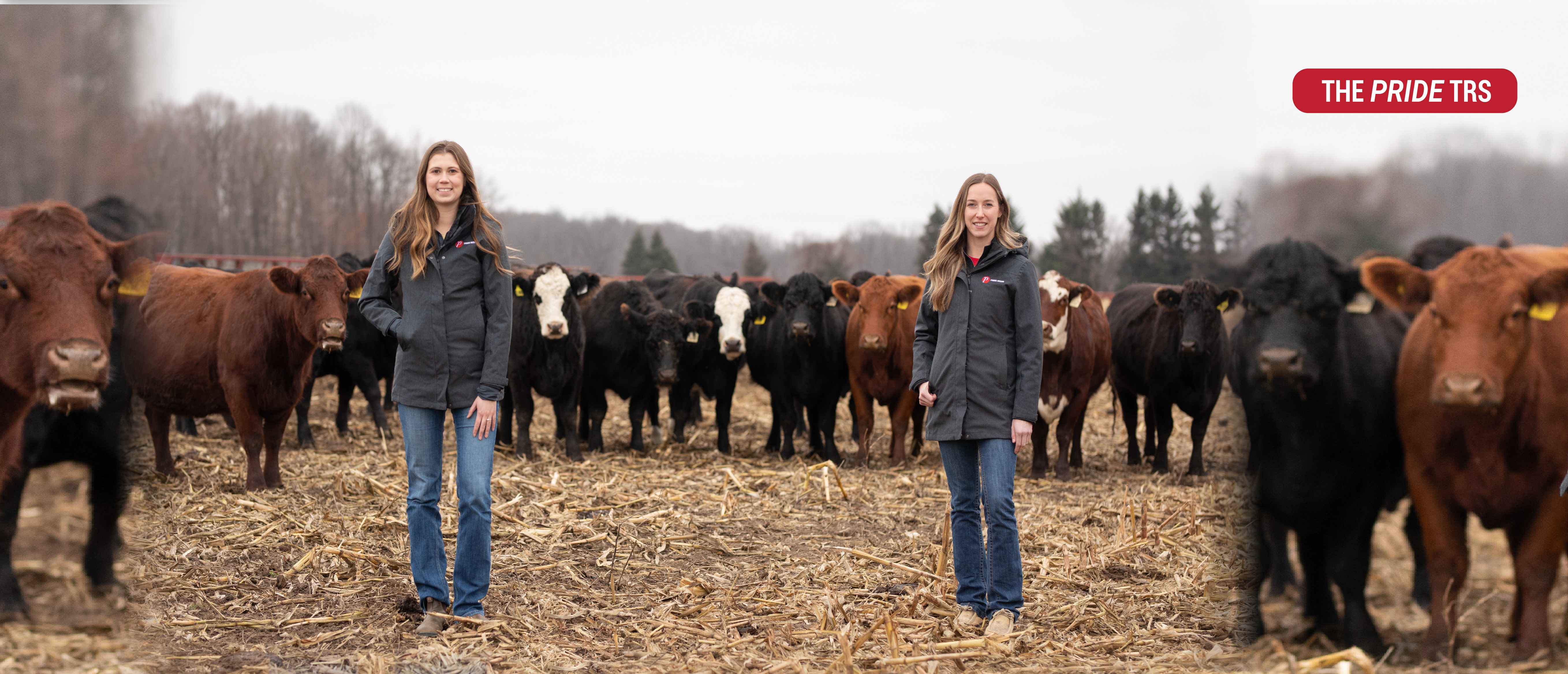 The PRIDE TRS larger version-02