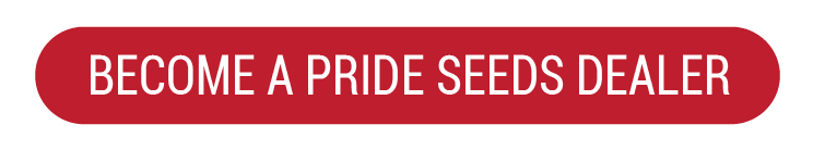 Become a PRIDE Seeds Dealer button-01