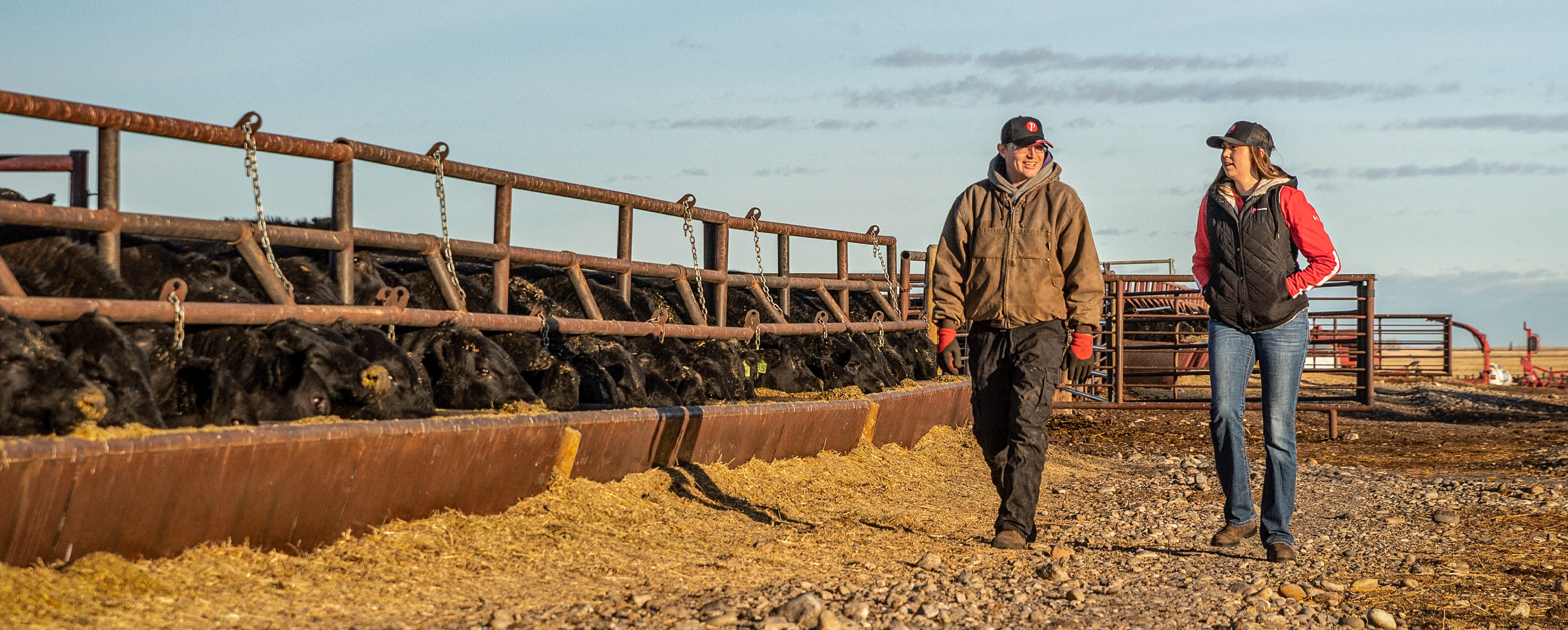 Website Cover Website Cover