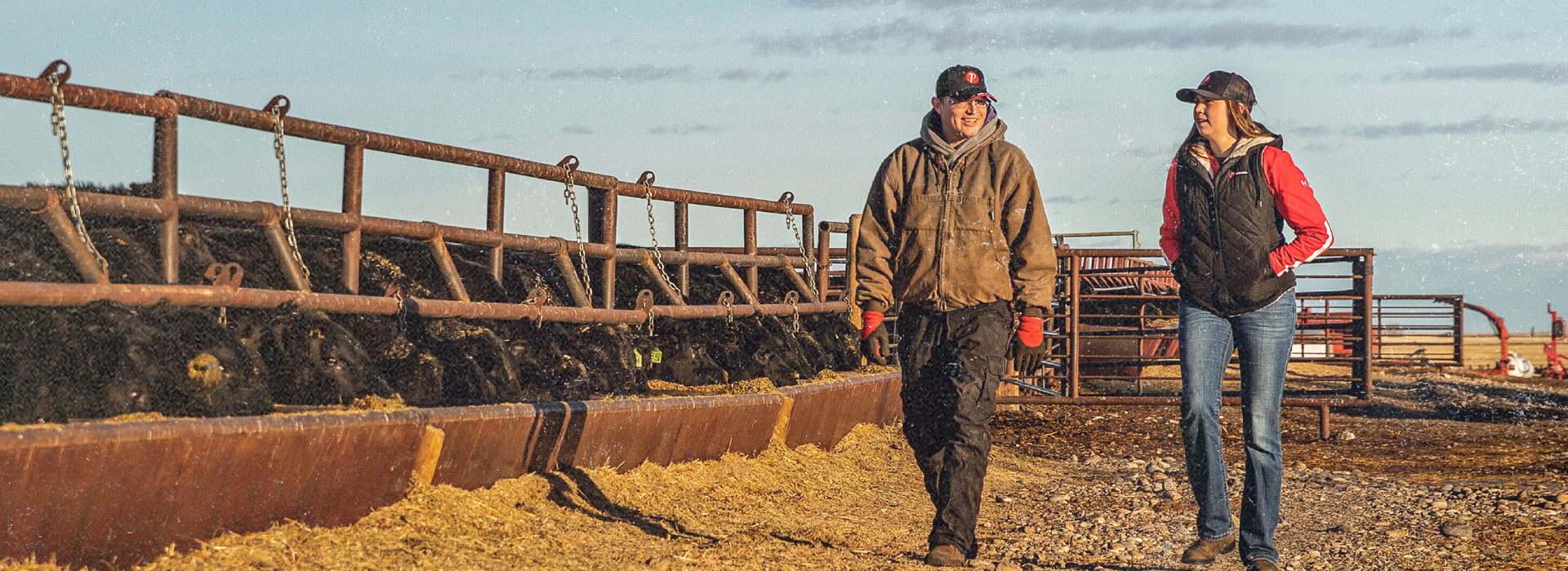 Silage Performance You Can Count On