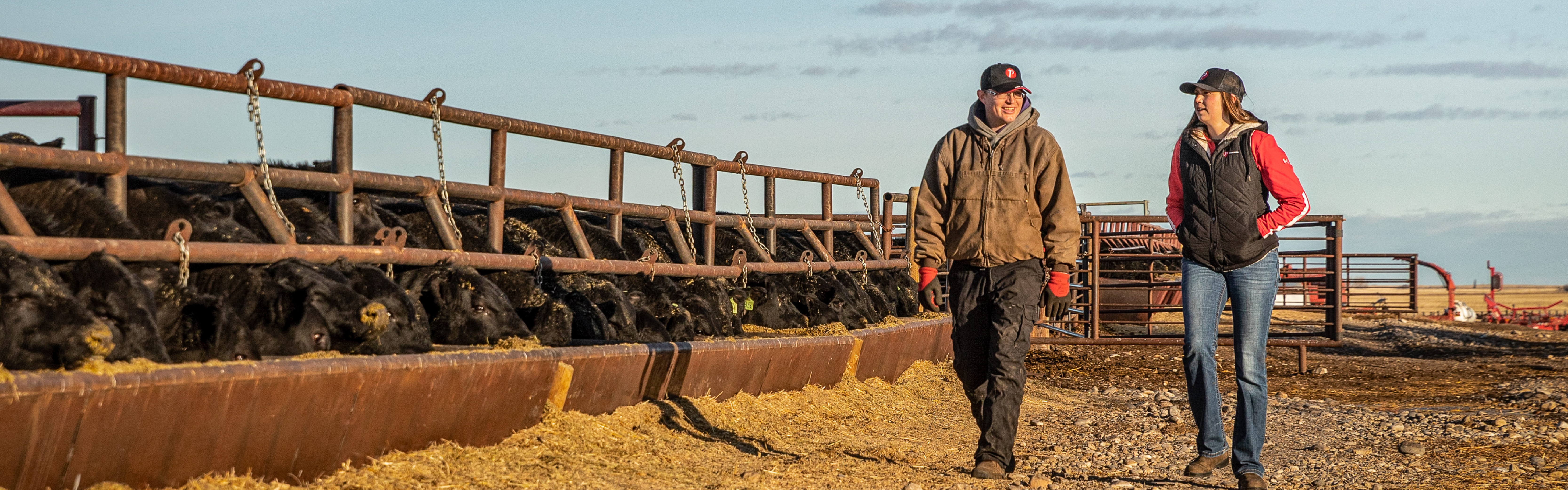 Silage Header
